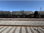 CRGX 19509
